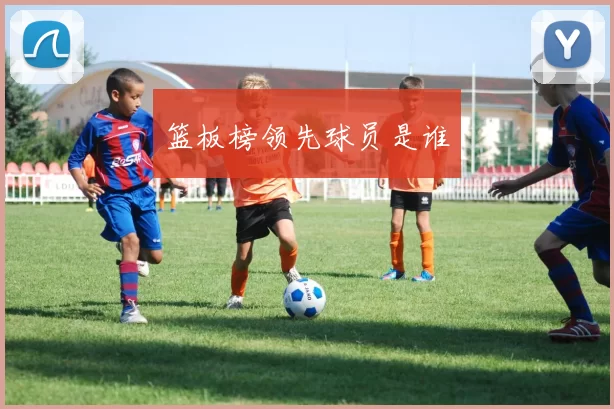 篮板榜领先球员是谁