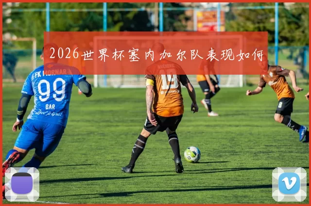 2026世界杯塞内加尔队表现如何